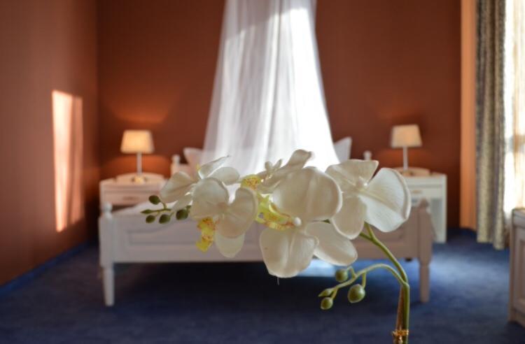 Hotel Shterev סופוט מראה חיצוני תמונה